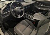 IMG_20241217_153944.jpg