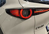 IMG_20241217_154025.jpg