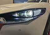 IMG_20241217_154033.jpg
