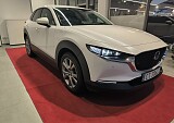 IMG_20241217_153919.jpg