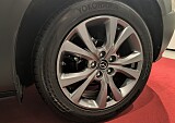 IMG_20241217_154012.jpg