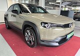 IMG_20241009_133217.jpg