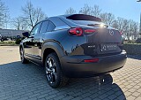 IMG_0342.jpg