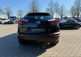 IMG_0339.jpg