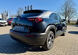 IMG_0340.jpg