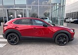 IMG_3869.JPEG