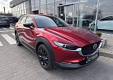 IMG_3868.JPEG