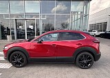 IMG_3875.JPEG