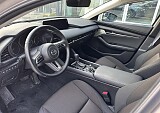 IMG_3881.JPEG