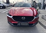 IMG_3867.JPEG