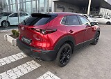 IMG_3870.JPEG