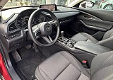 IMG_3879.JPEG