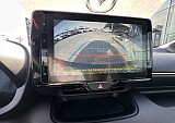 IMG_3811.JPEG