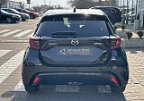 IMG_3802.JPEG