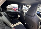 IMG_3808.JPEG