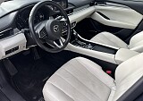 IMG_3932.JPEG