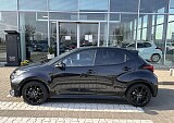 IMG_3800.JPEG