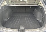 IMG_3931.JPEG