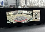 IMG_1496.JPG