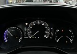 IMG_1491.JPG
