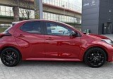 IMG_3079.JPG