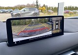 IMG_0156.jpg