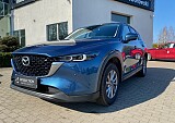 IMG_0164.jpg