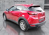 7_73d59229-0c28-436c-a36d-fe81b243220b_final_image (Large).jpg