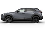 MAZDA CX-30 Homura_Polymetal Grey_462.jpg