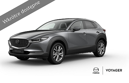 CX-30 Exclusive line Machine gray.png