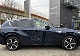 IMG_1878.JPG