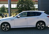 IMG_20230821_123547_1.jpg