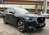 IMG_1879.JPG