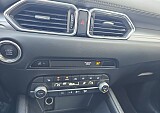 20_e99dd580-1267-4e1e-8f77-f8663bb87bad_final_image (Large).jpg