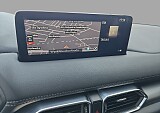 21_c3a82e82-6122-4eae-ac6b-0b37deae6336_final_image (Large).jpg