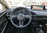 20250415_161726.jpg
