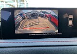 20250415_161550.jpg