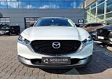 20250415_161910.jpg