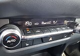 20250415_161531.jpg
