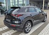 20250417_163538.jpg