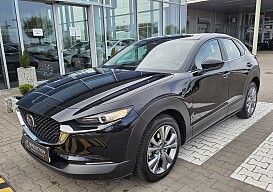 20250417_163147.jpg