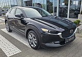 20250417_163514.jpg