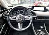 20250423_103052.jpg