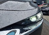20250423_103928.jpg