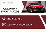 F&I _grafiki Otomoto, nowe (1024 x 670 px).png