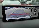 P1060177.JPG