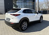 IMG_2848.JPG