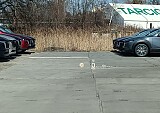 123424_16151_0cae977b-bf89-40db-8bc4-89e0ed716d0f.JPEG
