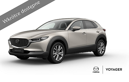 CX-30 Exclusive line (6).png