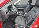 11_4990e3d4-d33b-49b2-94fa-7fe085f26299_final_image (Large).jpg